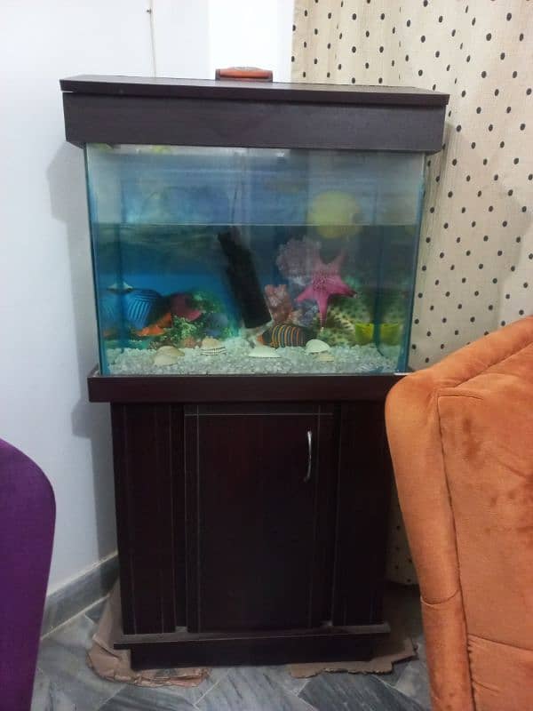 aquarium for sale 2