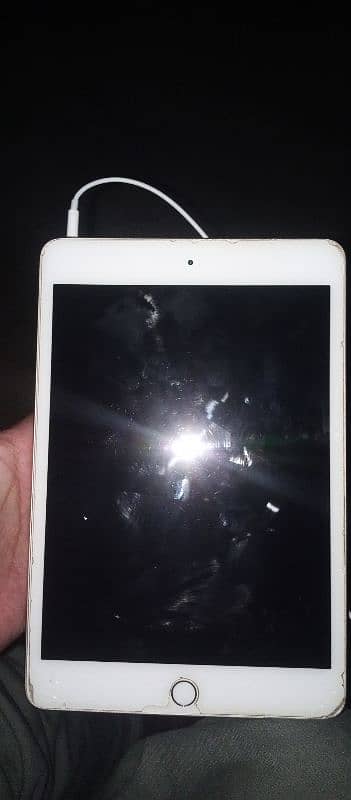 iPad mini 5 1