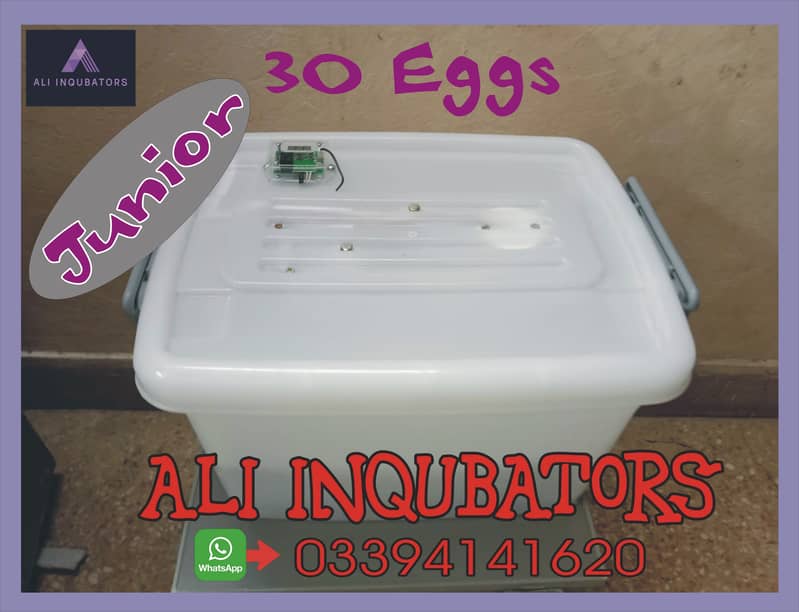 inqubator Egg hatching machine 5