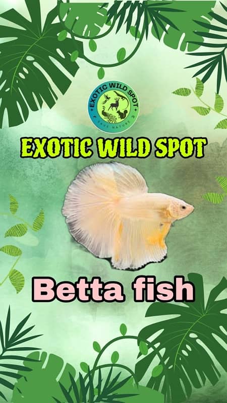 fish available only at EXOTIC WILD SPOT 1