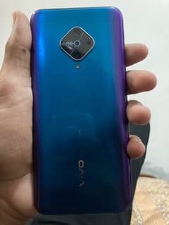 vivo