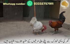 Pure Desi eggs Available