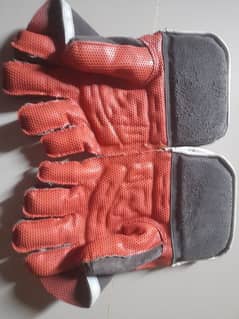 GM CRICKET GLOVE