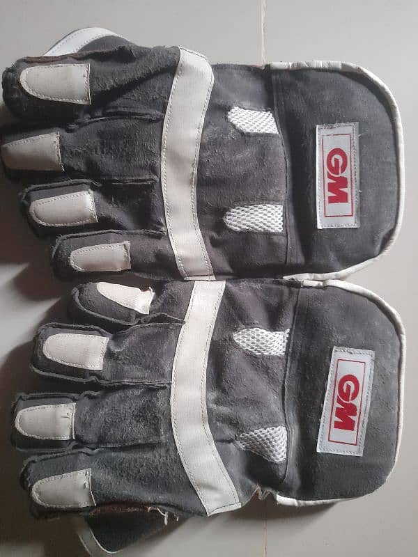 GM CRICKET GLOVE 1