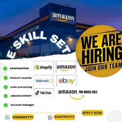 Need Account Manager For Amazon| Walmart | eBay | Shopify | Ecommerce