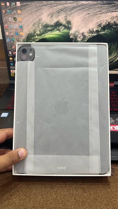 iPad Pro 11 inch M4 256gb 1