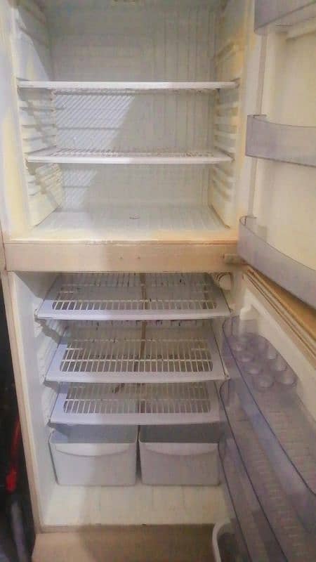 Fridge (PEL) for Sale 2