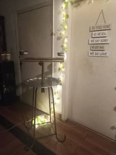 bird cage and stand