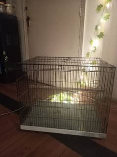 bird cage