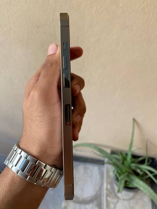 Iphone 12 pro max non pta sim working 6