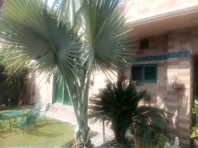 1 Kanal Designer House very Neat Clean HOT Location Very Reasonable Price In Phase 1 DHA DHA Phase 1, DHA Defence, Lahore, Punjab 6