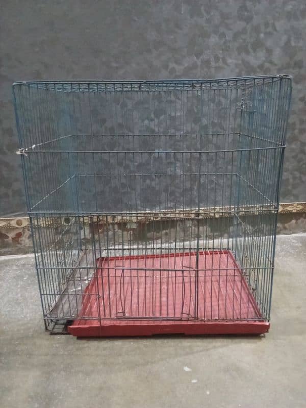 Parrot Cages for sale iron and wooden urgent sale 3