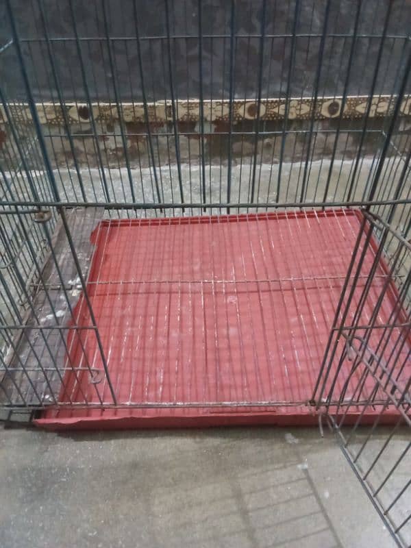 Parrot Cages for sale iron and wooden urgent sale 4