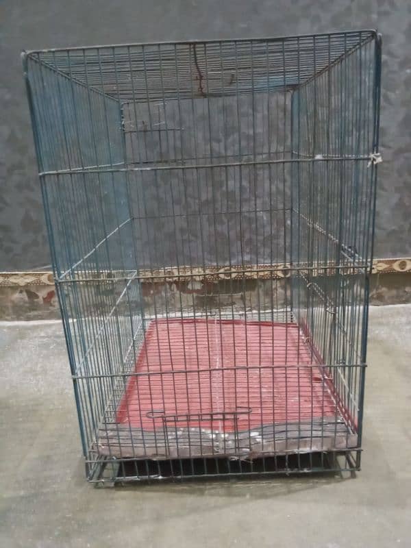 Parrot Cages for sale iron and wooden urgent sale 5