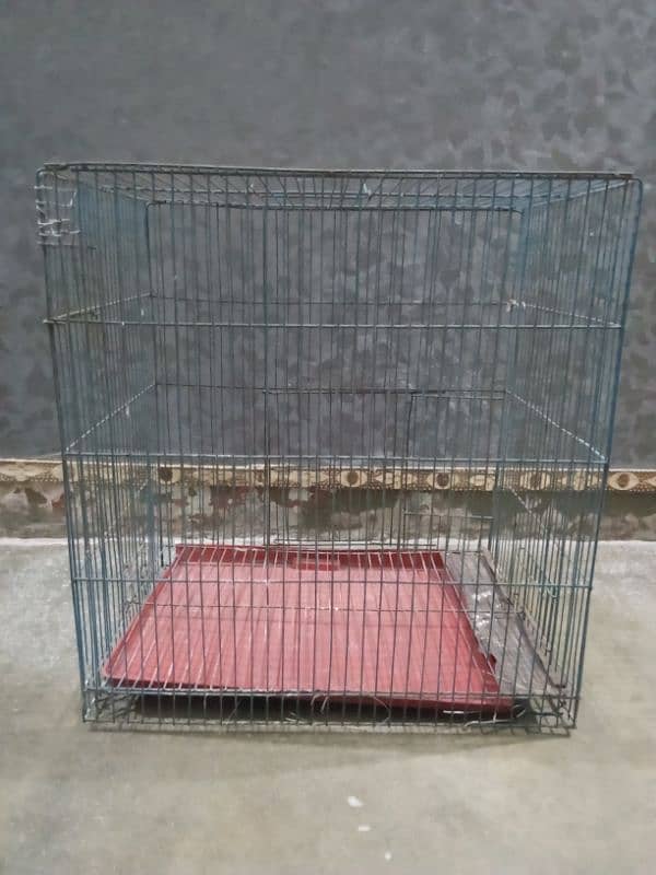 Parrot Cages for sale iron and wooden urgent sale 6