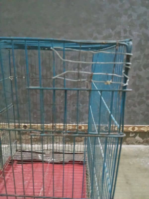 Parrot Cages for sale iron and wooden urgent sale 8