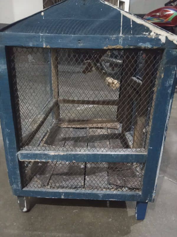 Parrot Cages for sale iron and wooden urgent sale 11