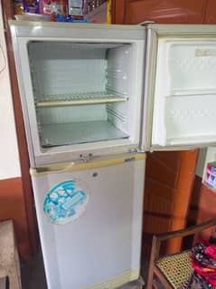 Pal Fridge