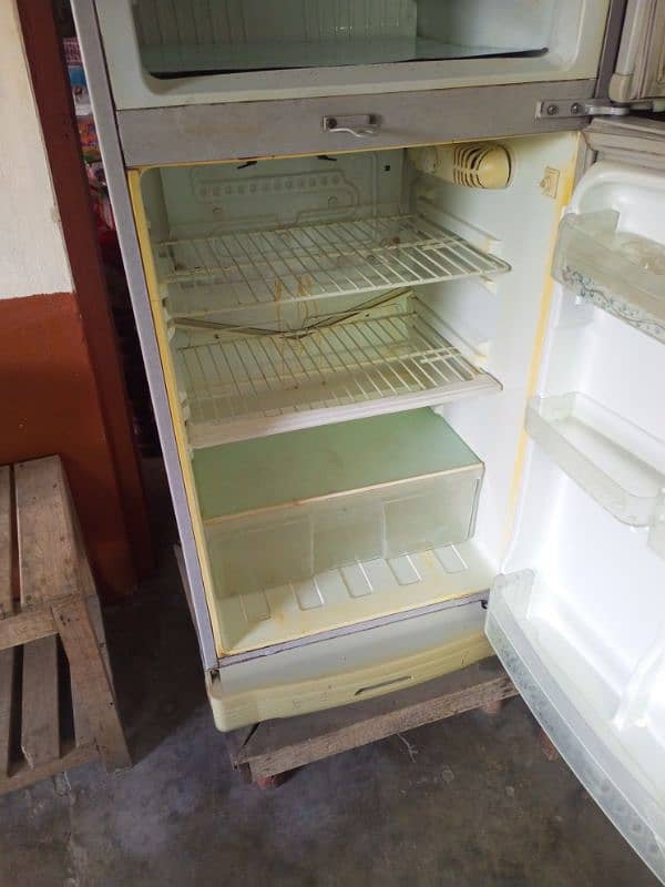 Pal Fridge 1