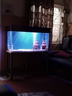 3 ft aquarium