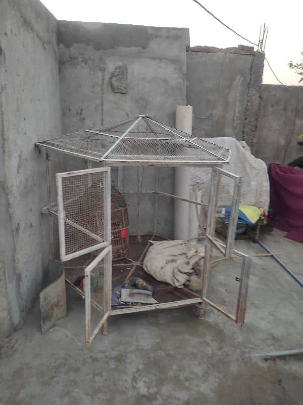 cage for sale 1