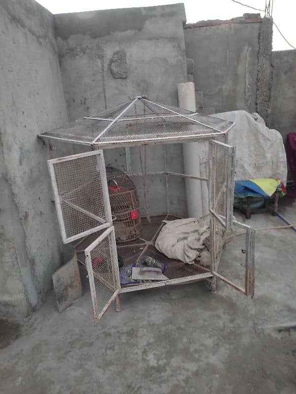 cage for sale 7