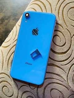 iPhone XR body