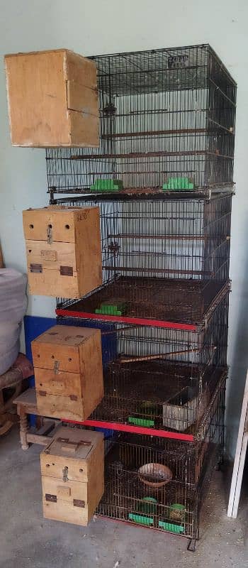 Lovebirds Pairs & 4 Portion tower CagE size 2 by 2.5 2