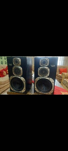 pioneer Wave 100W 0