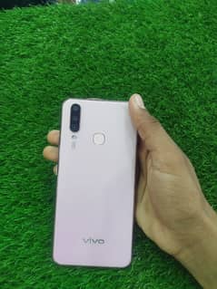 vivo