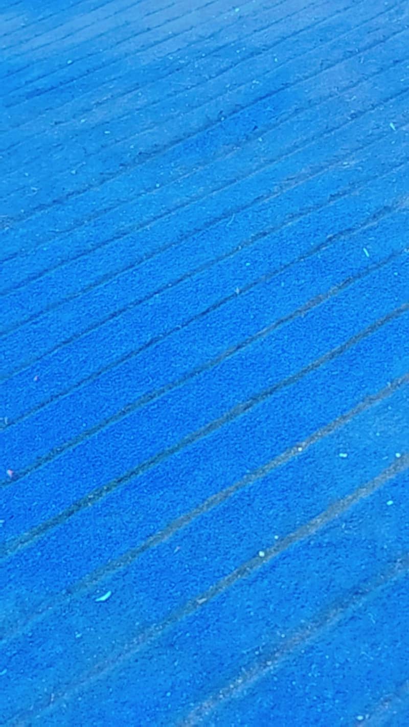 Blue Carpet with Black lines Design 2