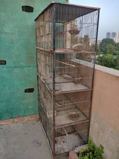 2 cage available