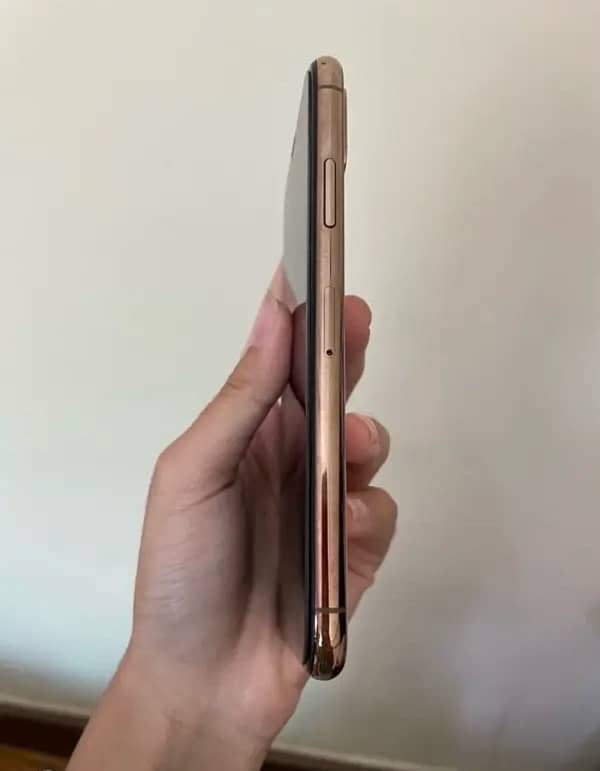 Iphone XS 256 GB Pta approved 4