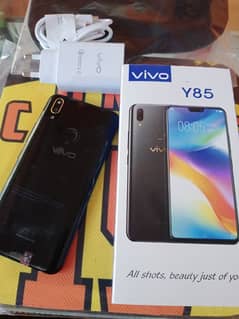 vivo