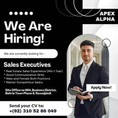 Sales Executive