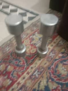 2 kg pair dumbbells steel