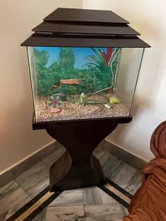 Fish Aquarium