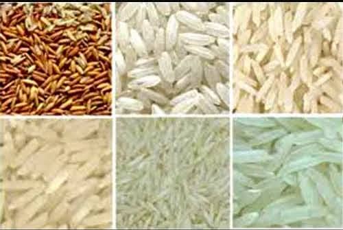 All Types Rice & Pulses (Chawal Daal) Whole Sale Price 0