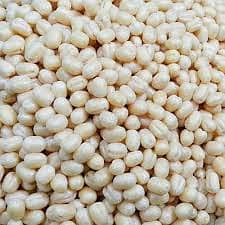 All Types Rice & Pulses (Chawal Daal) Whole Sale Price 9