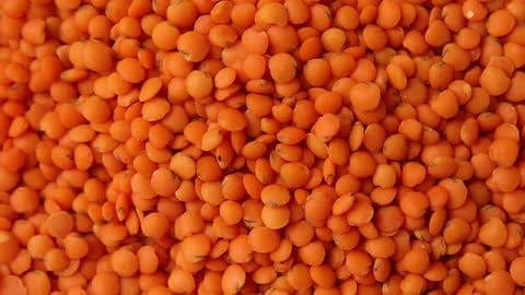 All Types Rice & Pulses (Chawal Daal) Whole Sale Price 12