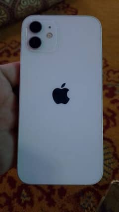 iphone12