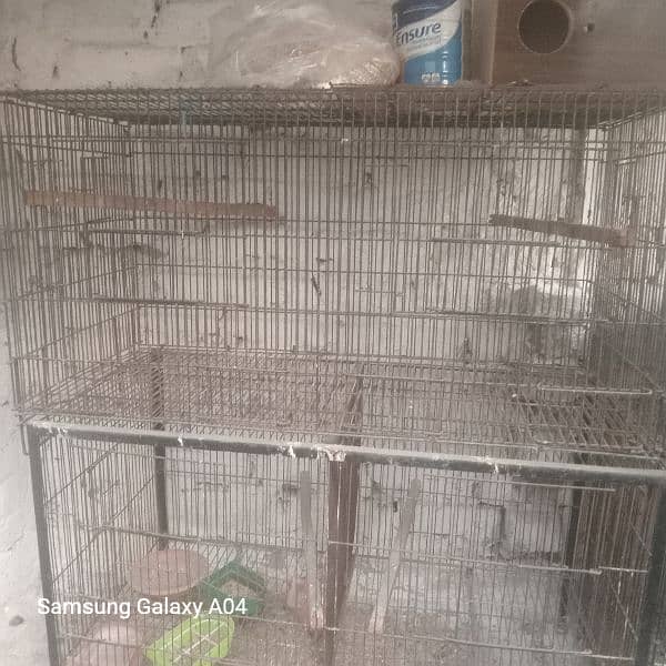 cages for sale 0