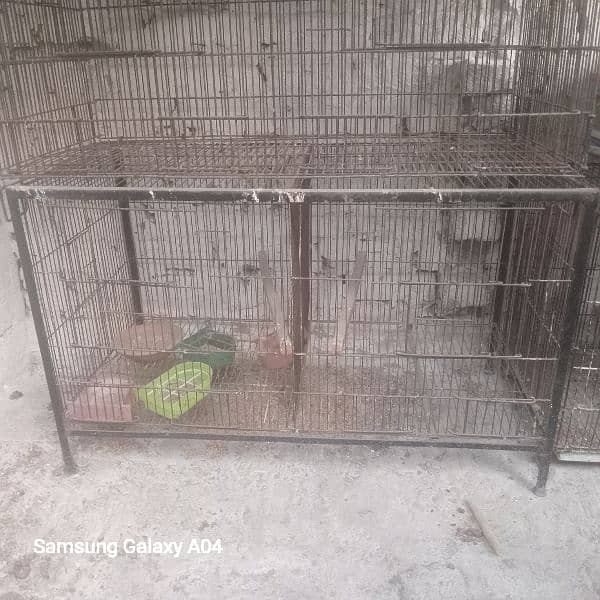 cages for sale 1