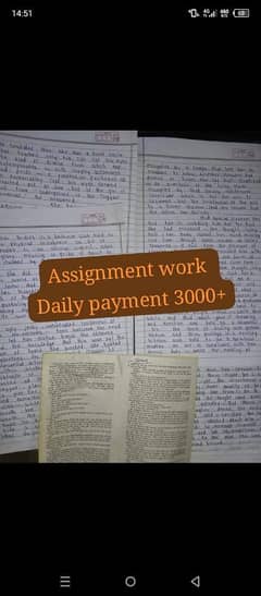 Typing And Handwritten Assignment Work Available