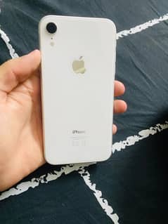 iPhone XR 64 gb scom working