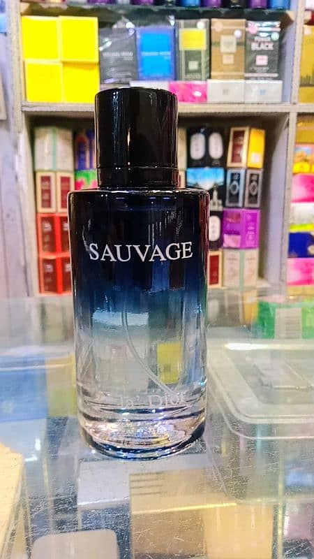 Sauvage Perfume 1