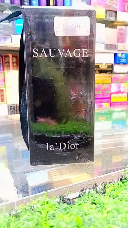 Sauvage Perfume 2