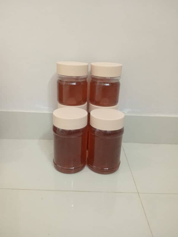 Paloosah honey and Berry honey 1