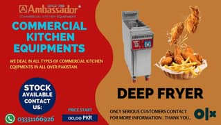 deep fryer / pizza setup / fryer machine / pizza oven south star