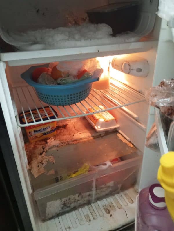 Panatron Room Fridge 2